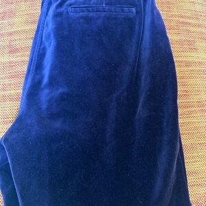 Velvet Pants in Deep Blue